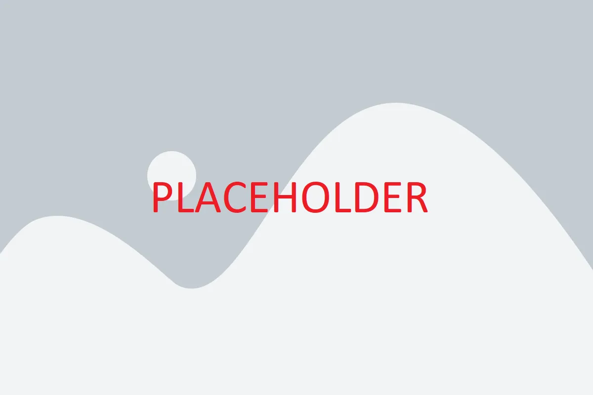 placeholder (1).webp